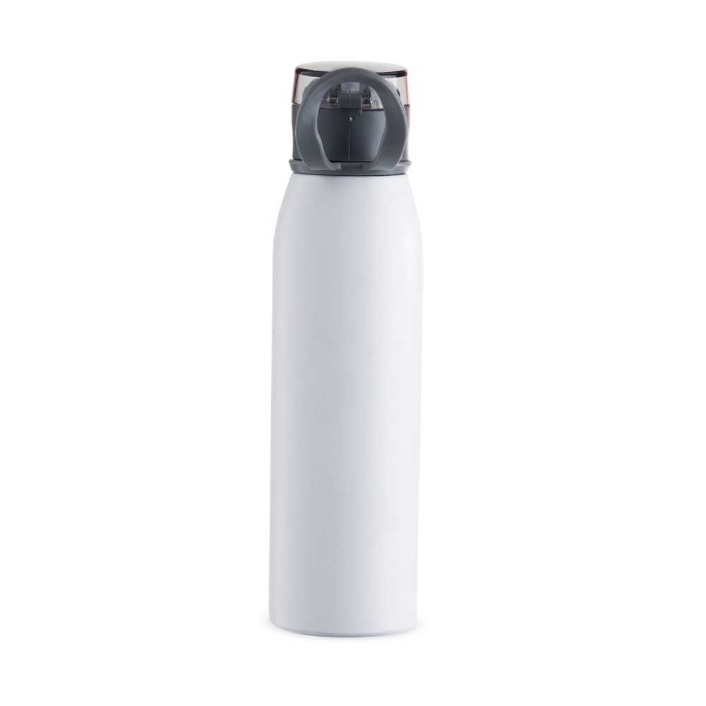 Garrafa-Inox-650ml-17263-1695845091
